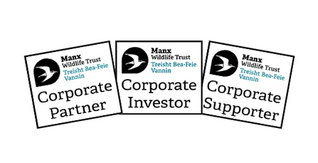 MWT business member logos