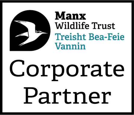 MWT Corporate Partner Logo